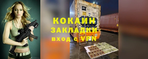 бошки Няндома
