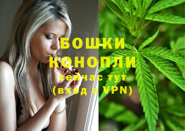 молекула духа Нягань