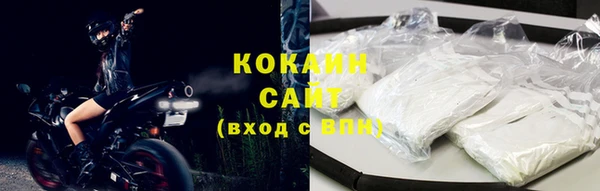 бошки Няндома