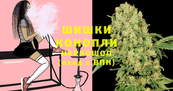 молекула духа Нягань