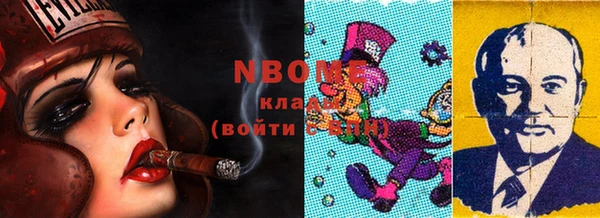 бошки Няндома
