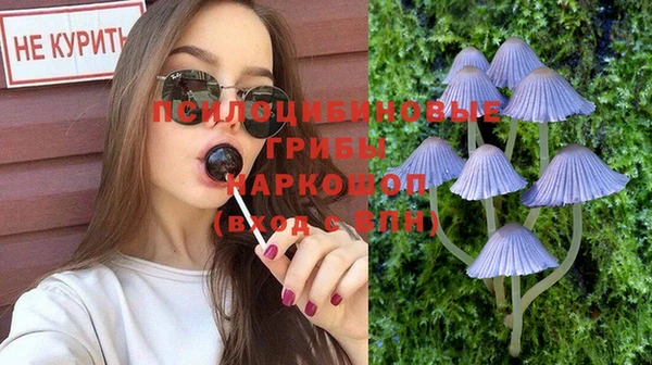 винт Нязепетровск