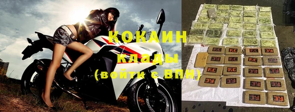 бошки Няндома