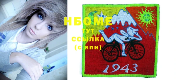 бошки Няндома