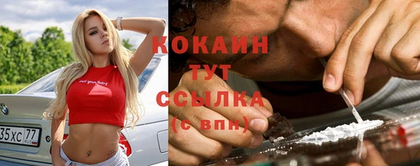 молекула духа Нягань
