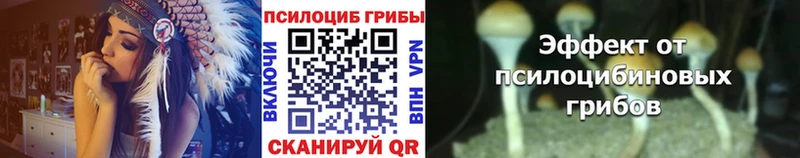 Галлюциногенные грибы GOLDEN TEACHER  Харабали 